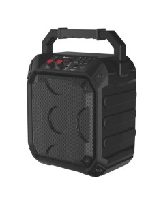 ALTAVOZ AMPLIFICADOR PRO 300 10