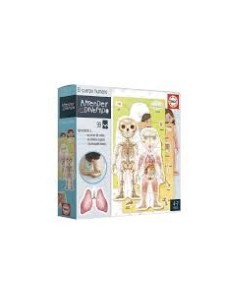 EL CUERPO HUMANO - APRENDER ES DIVERTIDO